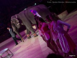 Családi hétvége a Fővárosi Nagycirkuszban